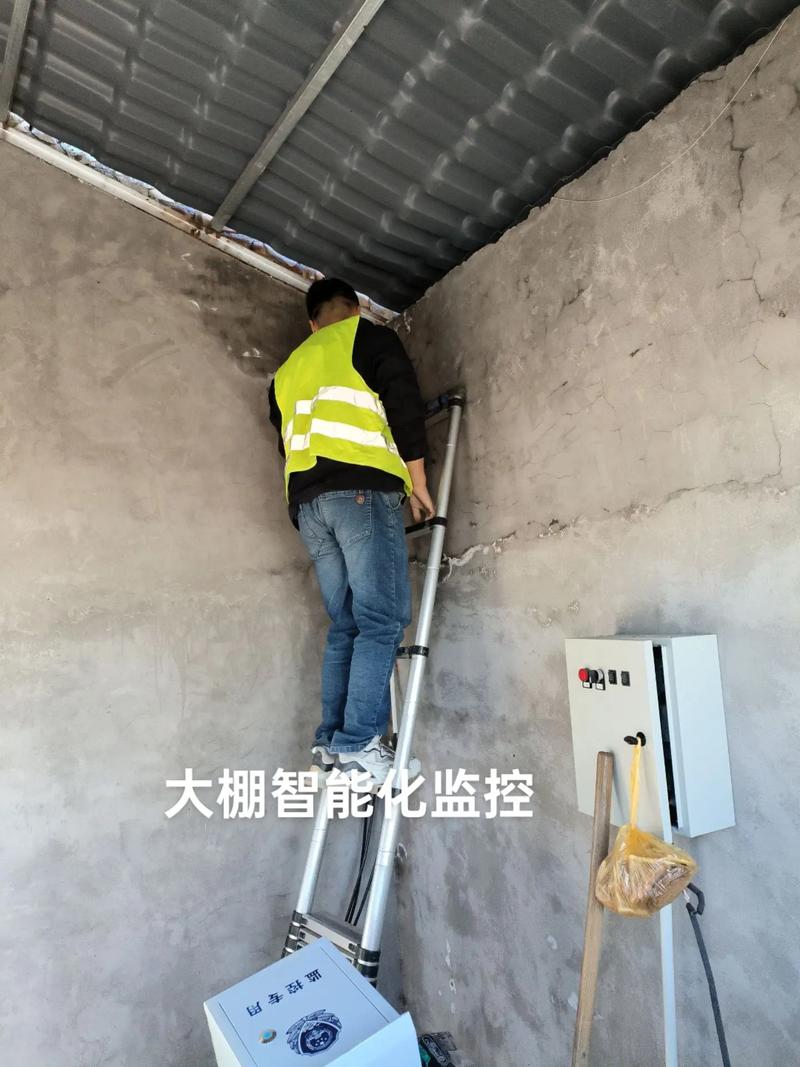 大棚智能化監控攝像頭,海康威視攝像機#智能化弱電工程 #海康